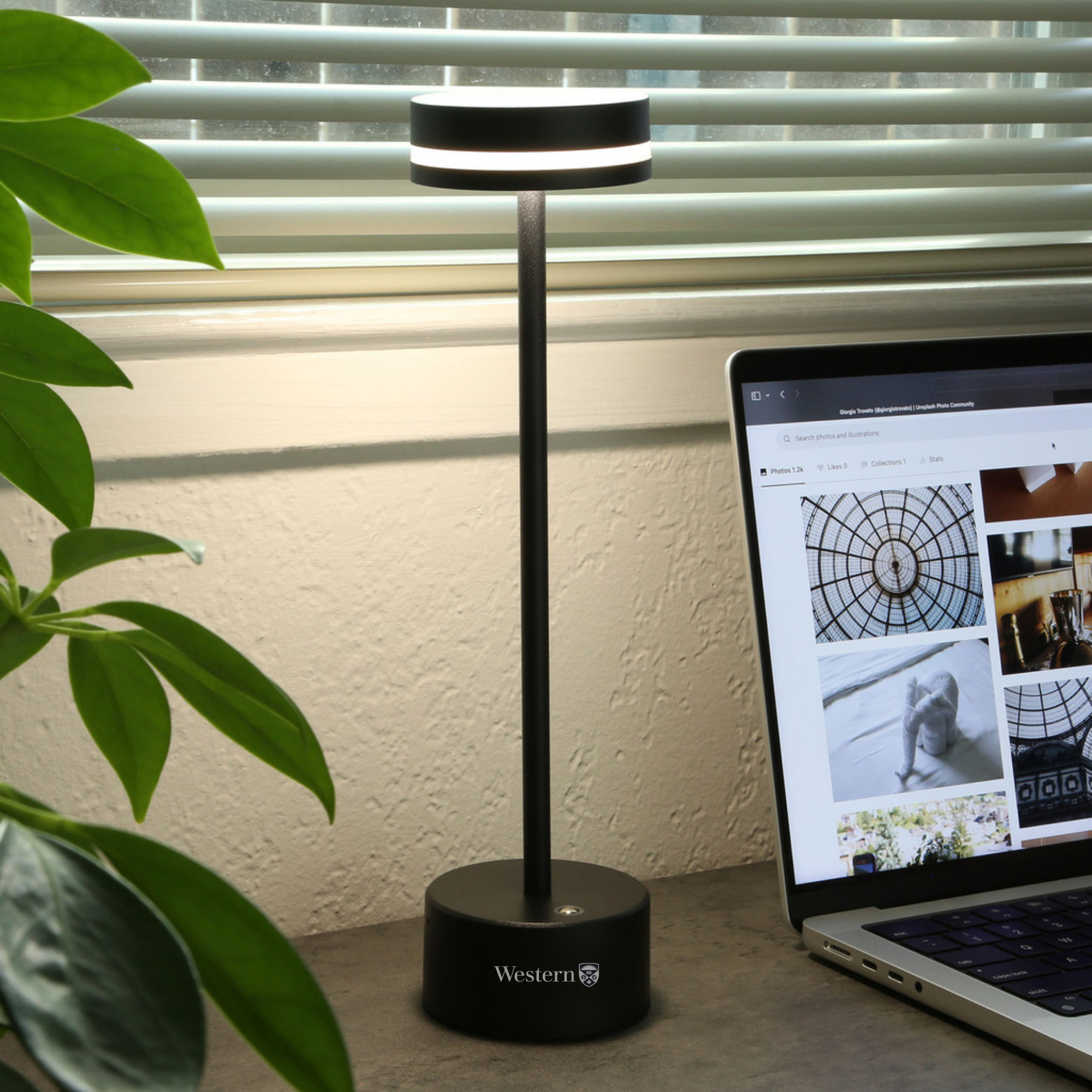 Western Desk Lamp