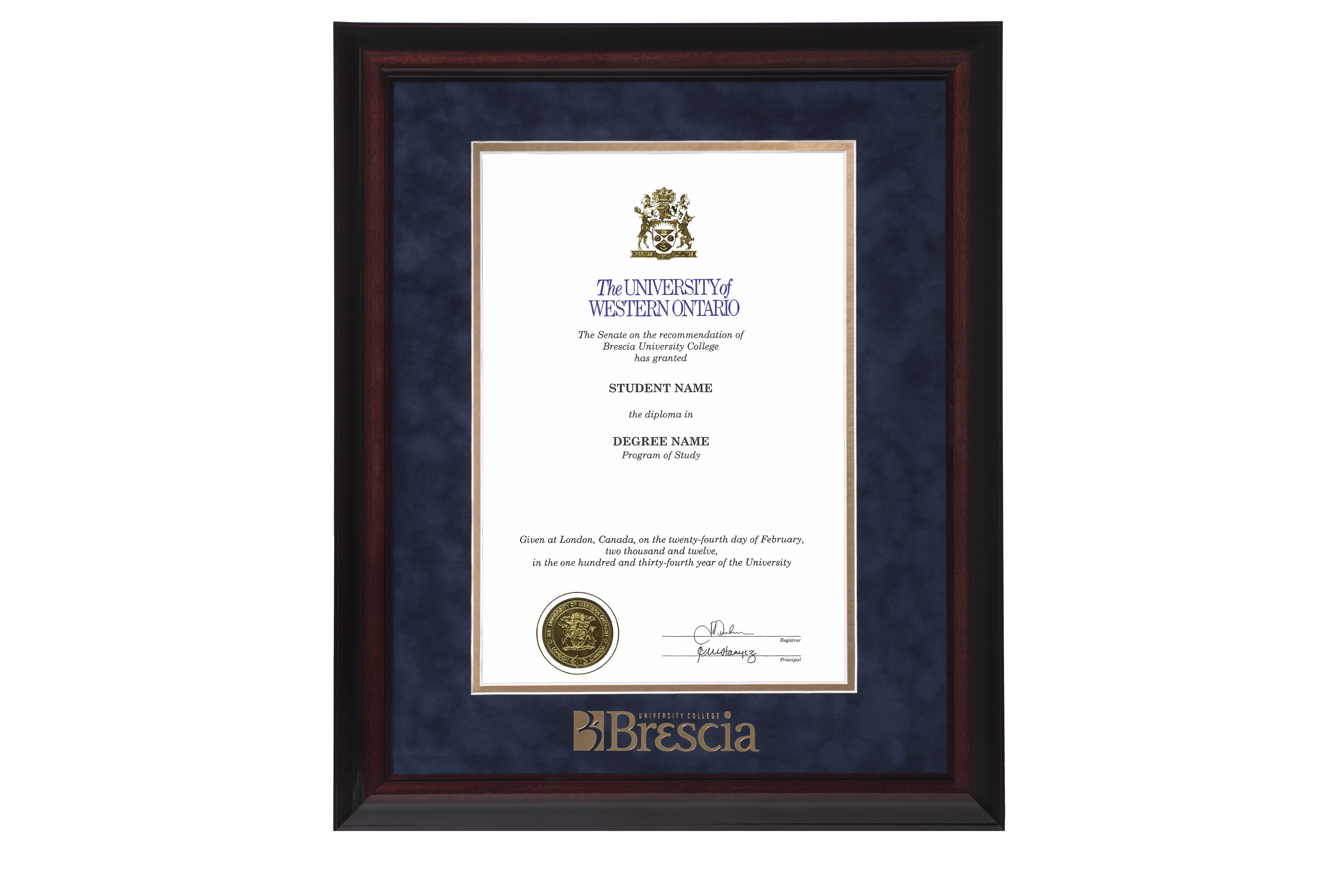 brescia-executive-diploma-nobg.jpg