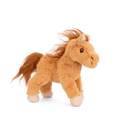 baby Chocolate the horse