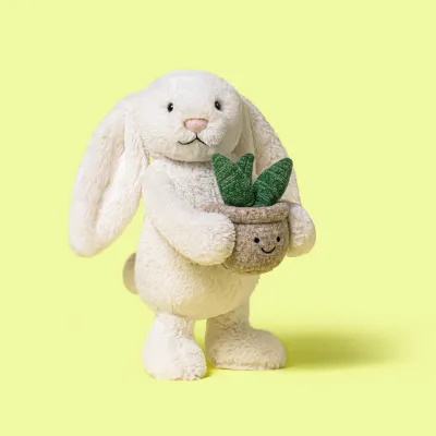 cream bunny holding potted snake plant