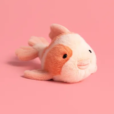Fancy Carp