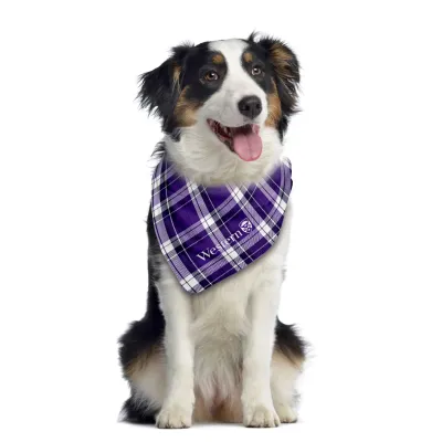 Western Tartan Dog Bandana