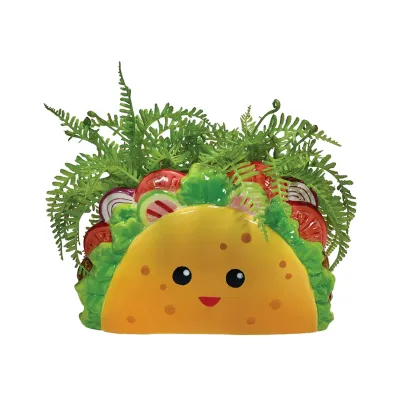 taco-planter.jpg