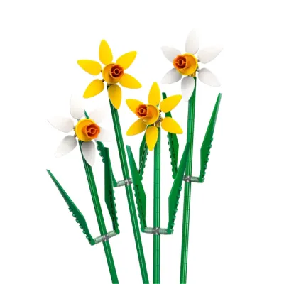 web_image_daffs.png