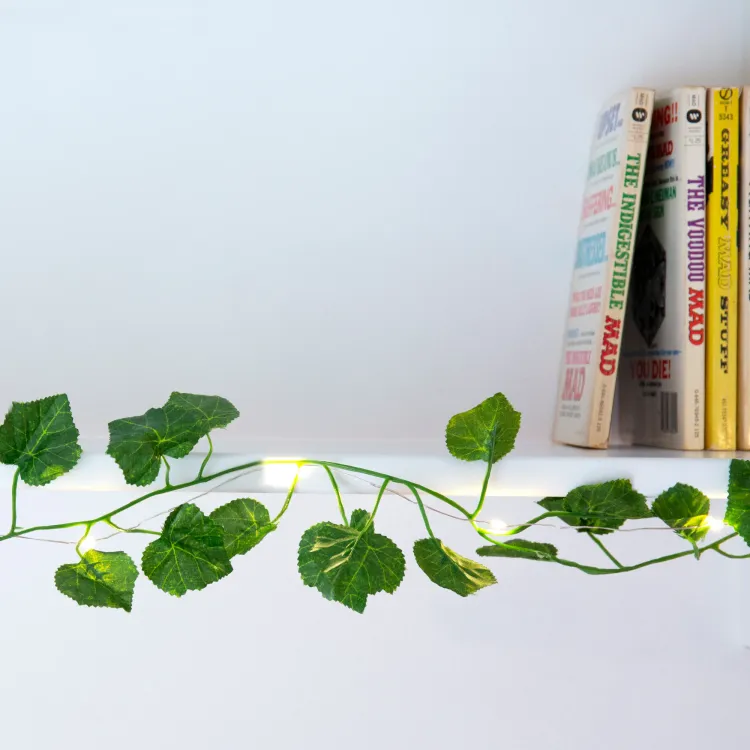 Open and lit string lights