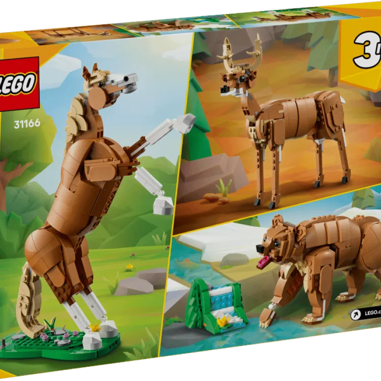 box featuring 3 different build options