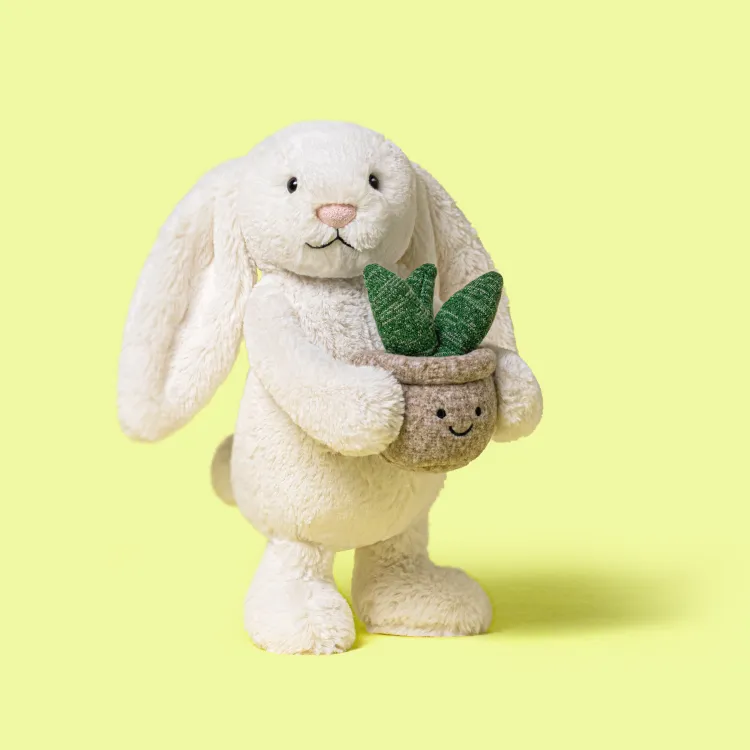 cream bunny holding potted snake plant