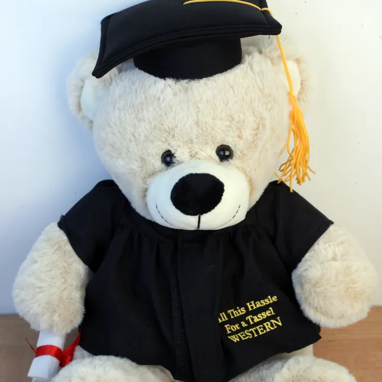 Beige teddy bear with graduate gown, cap and diploma.