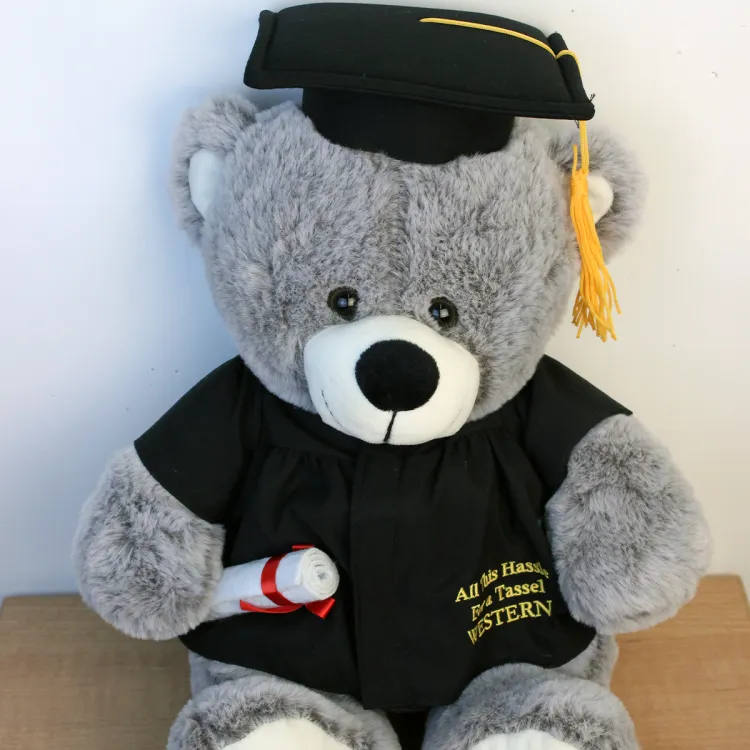 Silver teddy bear with a graduate cap, gown and diploma.