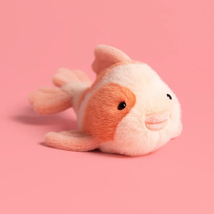 Fancy Carp