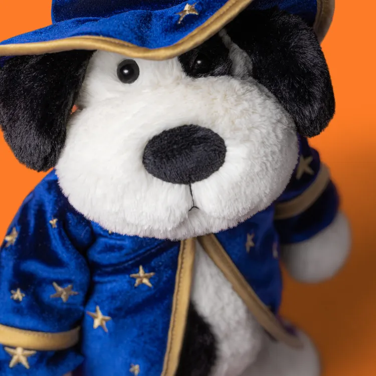 Rufferty  Puppy Wizard Outfit