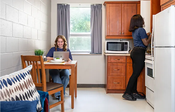 Two students in their kitchen