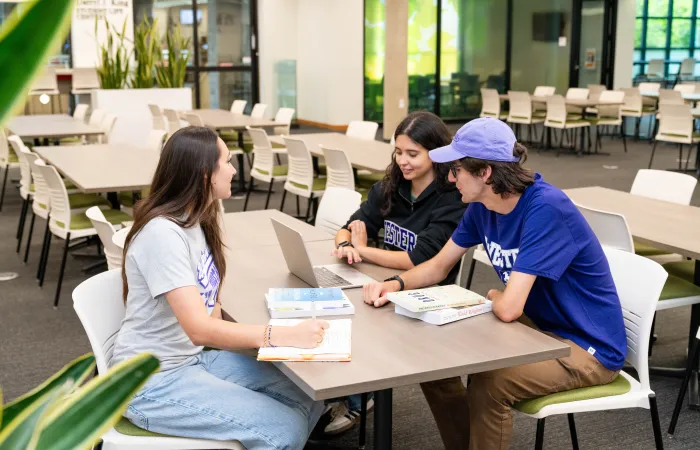 Students studying in a library