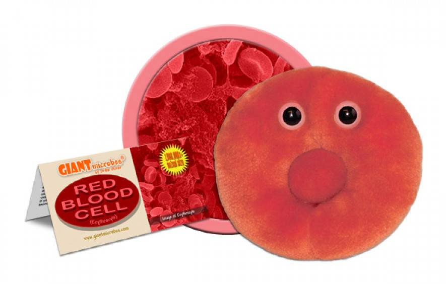 giant-microbes-red-blood-cell-gmus-pd-0610-the-book-store-at-western