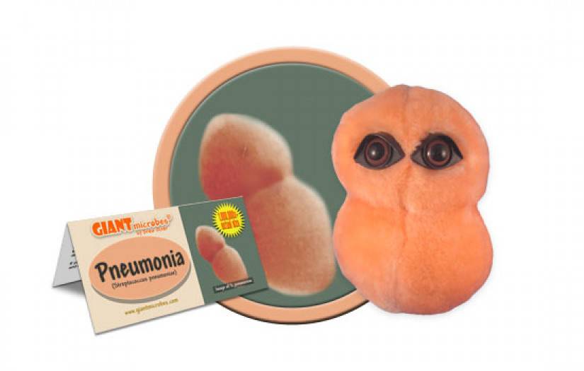 giant microbes canada