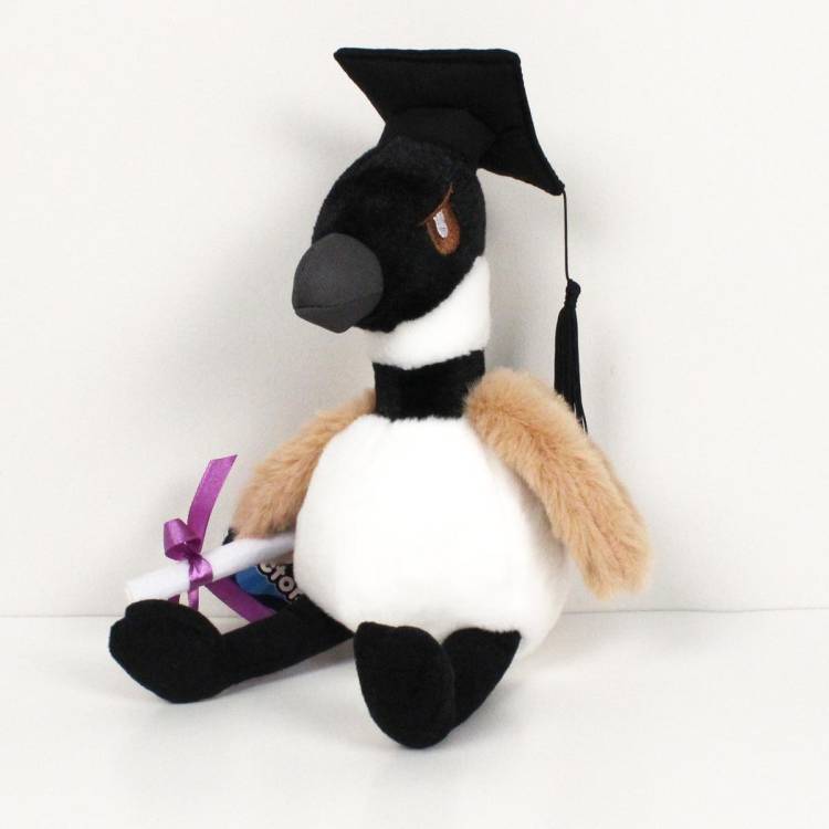8 Grad Chase The Goose Plush Dellelce Family Bookstore