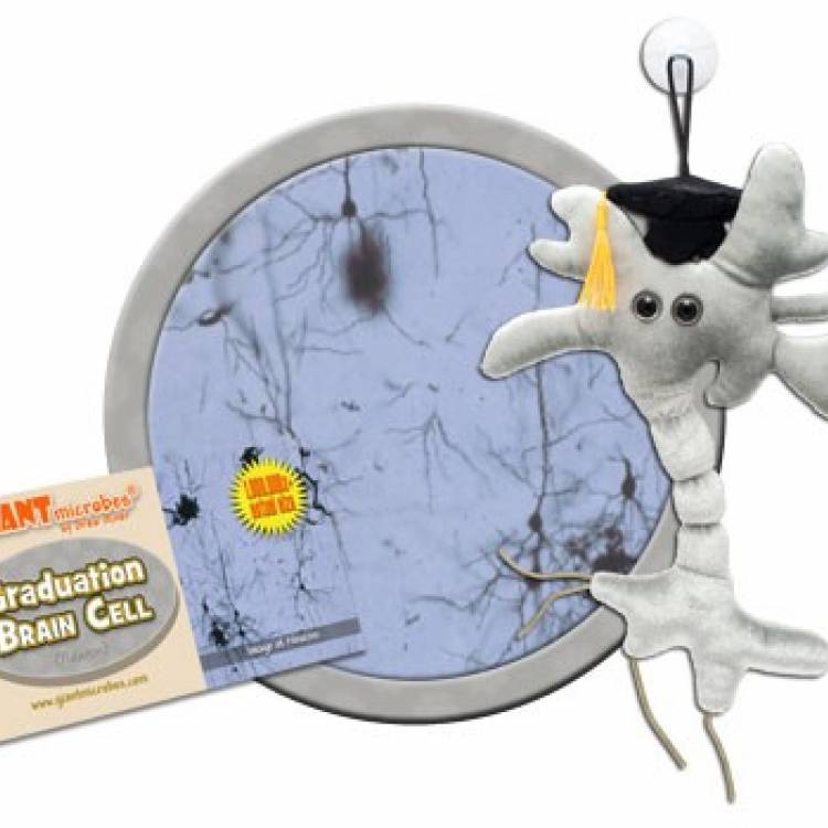 giant microbes brain cell