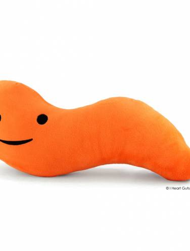 appendix stuffed animal