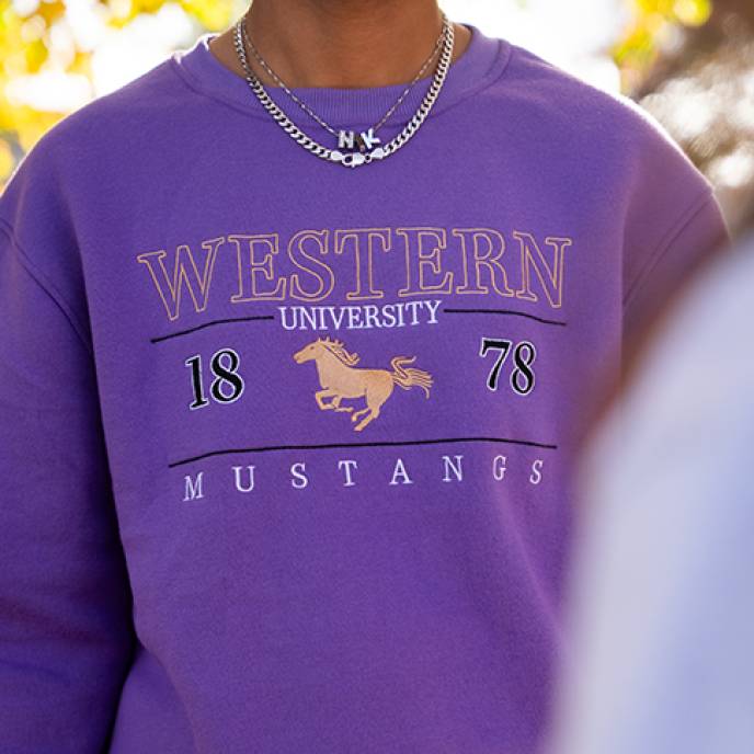 Vintage Western Crewneck