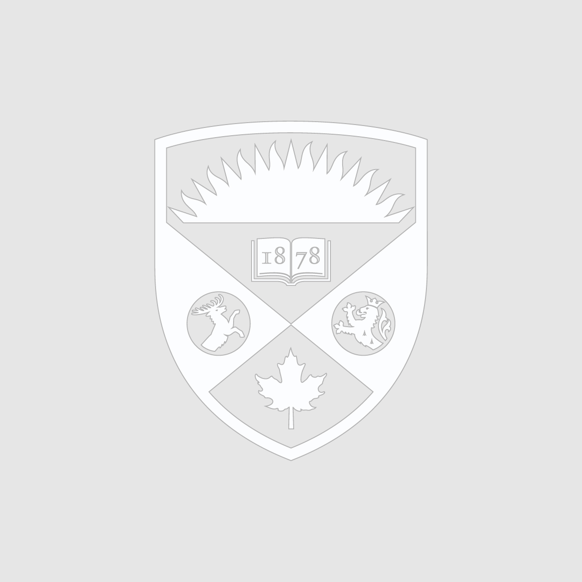 product without image